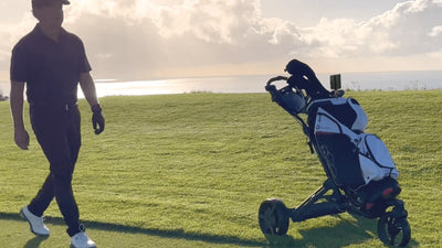 Alphard Cybercart Review: Specs, Battery, Weight and Who It Fits
